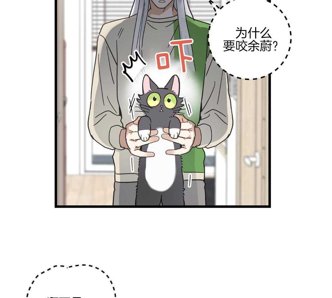 《我唯一的猫猫》漫画最新章节第44话免费下拉式在线观看章节第【2】张图片