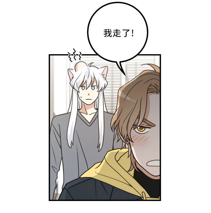 《我唯一的猫猫》漫画最新章节第24话免费下拉式在线观看章节第【3】张图片