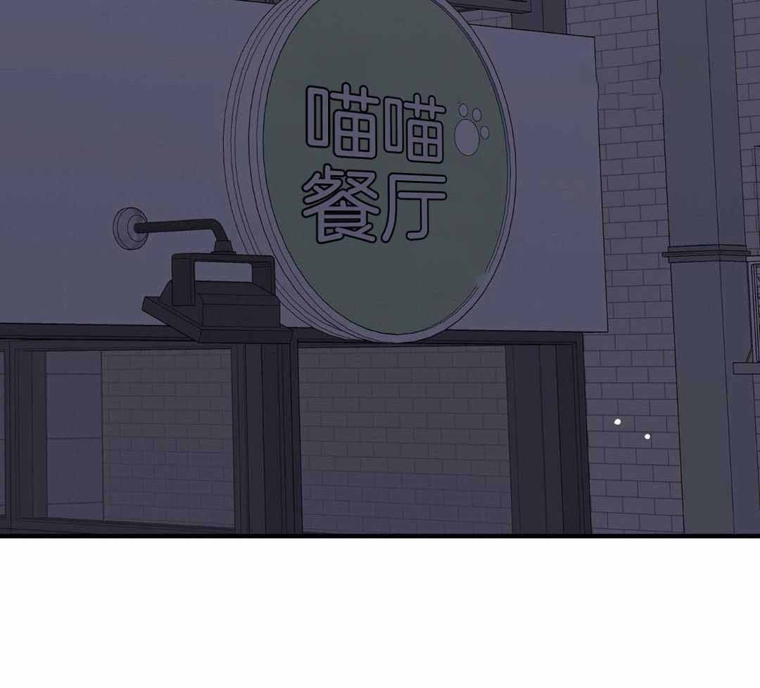 《我唯一的猫猫》漫画最新章节第56话免费下拉式在线观看章节第【4】张图片