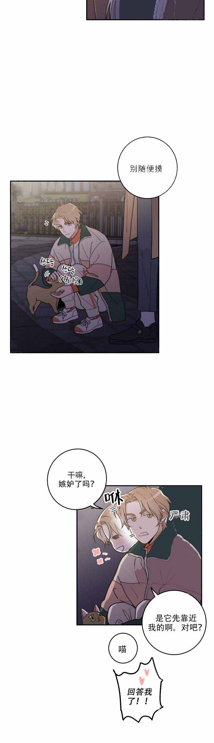 《我唯一的猫猫》漫画最新章节第17话免费下拉式在线观看章节第【11】张图片