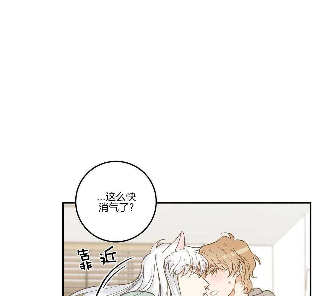 《我唯一的猫猫》漫画最新章节第48话免费下拉式在线观看章节第【17】张图片