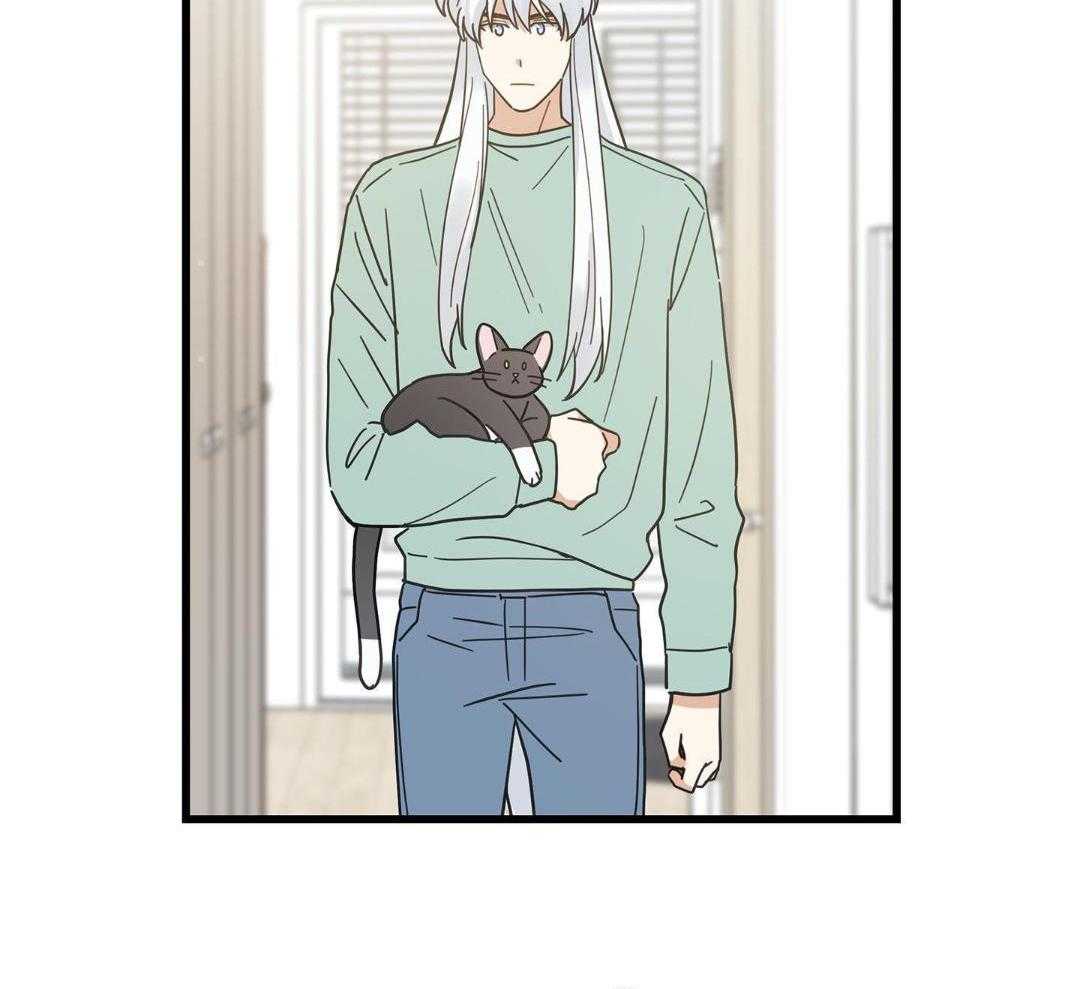 《我唯一的猫猫》漫画最新章节第46话免费下拉式在线观看章节第【3】张图片