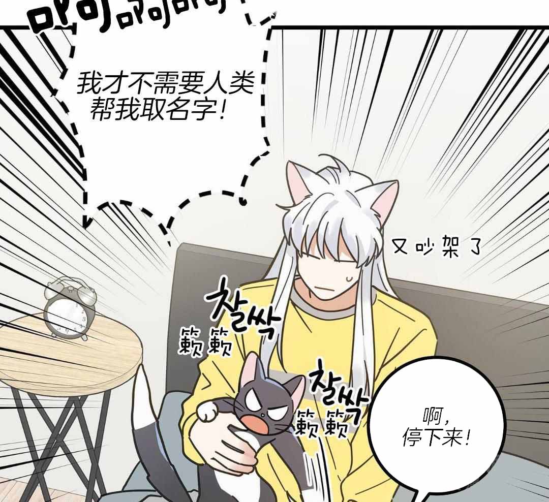 《我唯一的猫猫》漫画最新章节第45话免费下拉式在线观看章节第【35】张图片