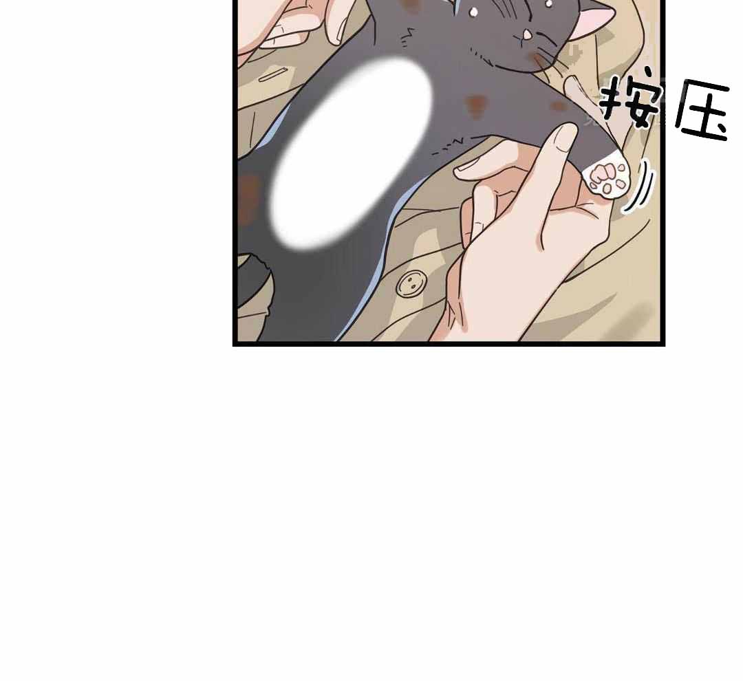 《我唯一的猫猫》漫画最新章节第34话免费下拉式在线观看章节第【44】张图片