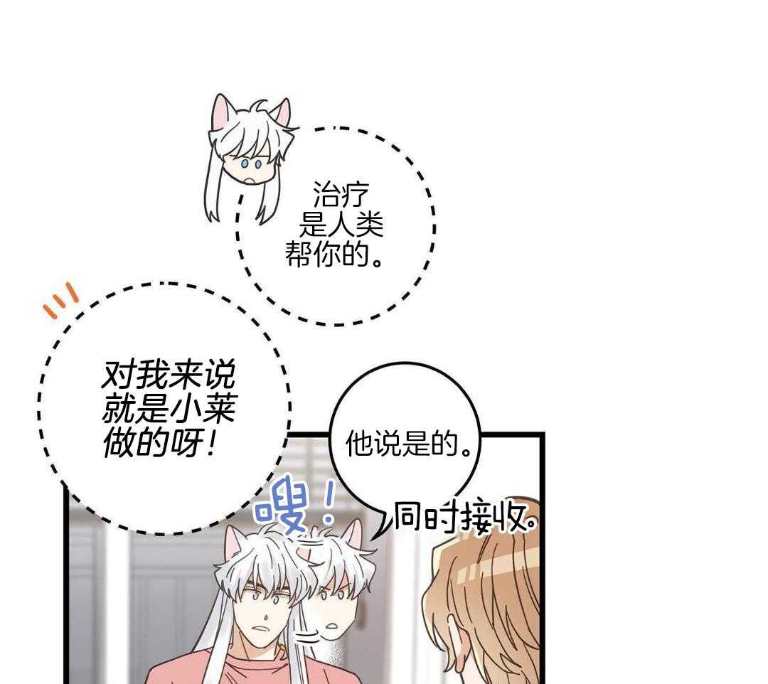 《我唯一的猫猫》漫画最新章节第40话免费下拉式在线观看章节第【7】张图片