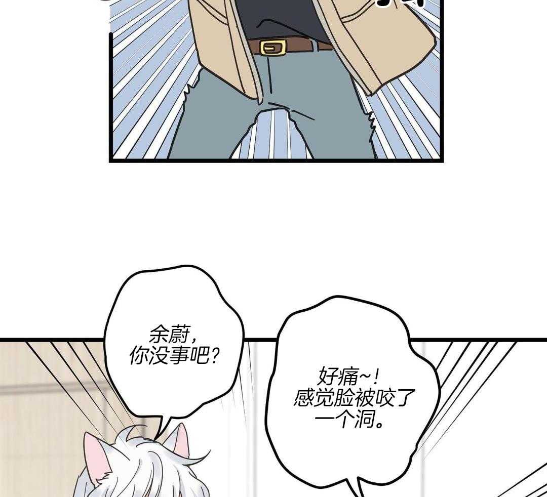 《我唯一的猫猫》漫画最新章节第43话免费下拉式在线观看章节第【30】张图片