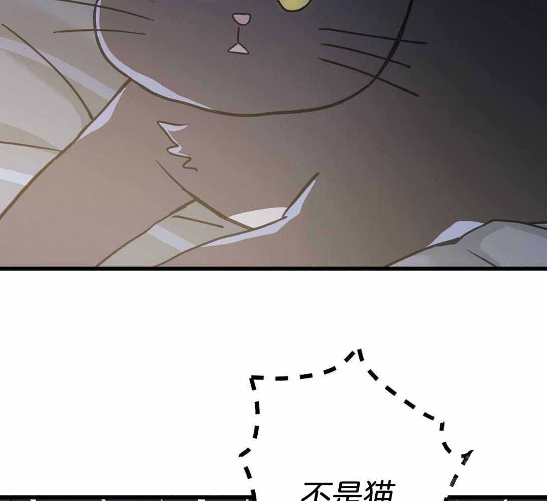 《我唯一的猫猫》漫画最新章节第42话免费下拉式在线观看章节第【17】张图片