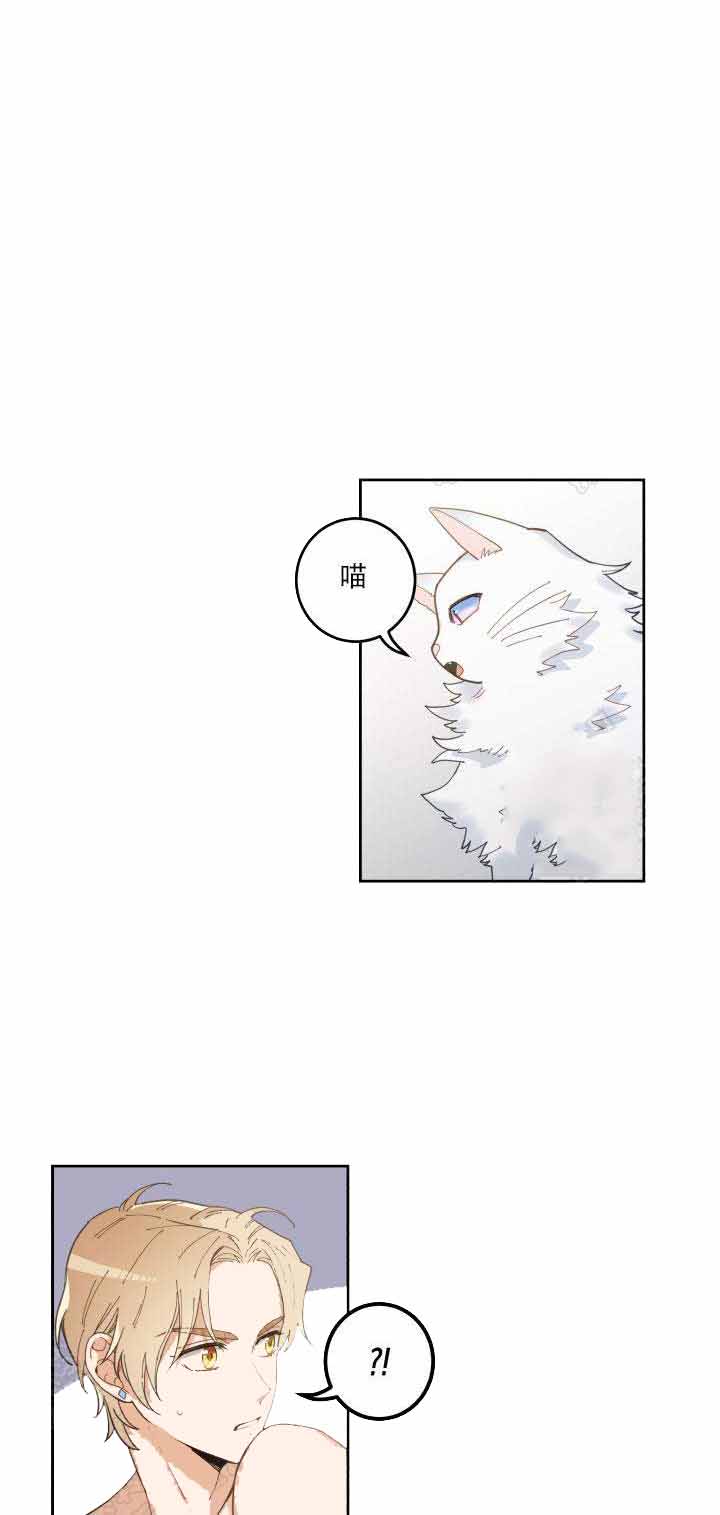 《我唯一的猫猫》漫画最新章节第10话免费下拉式在线观看章节第【19】张图片