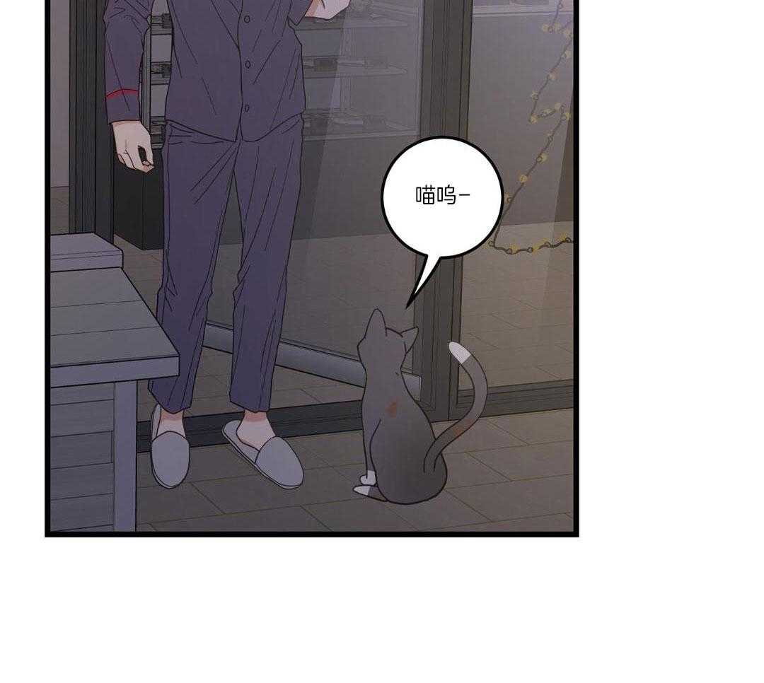 《我唯一的猫猫》漫画最新章节第36话免费下拉式在线观看章节第【36】张图片