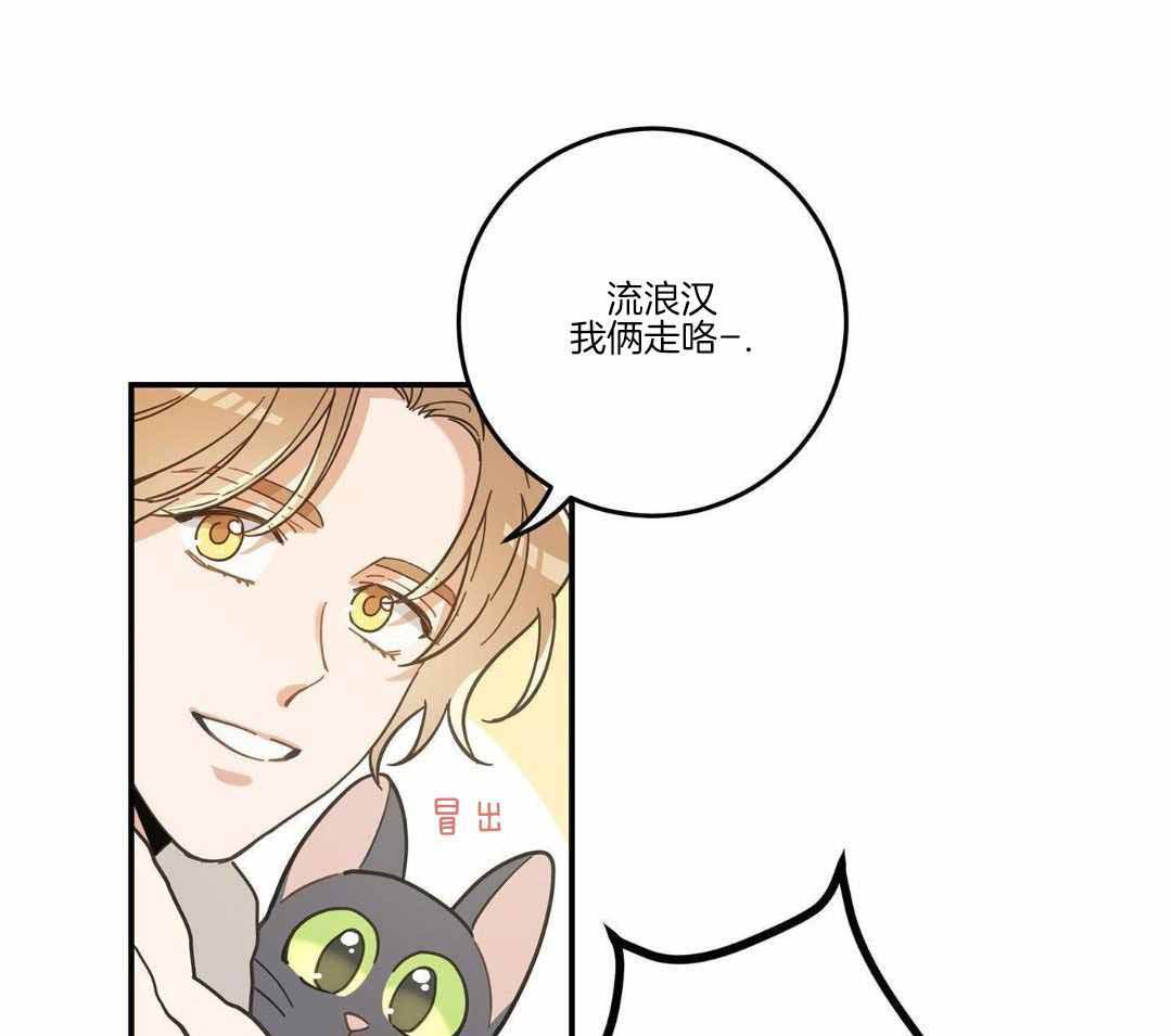 《我唯一的猫猫》漫画最新章节第49话免费下拉式在线观看章节第【9】张图片