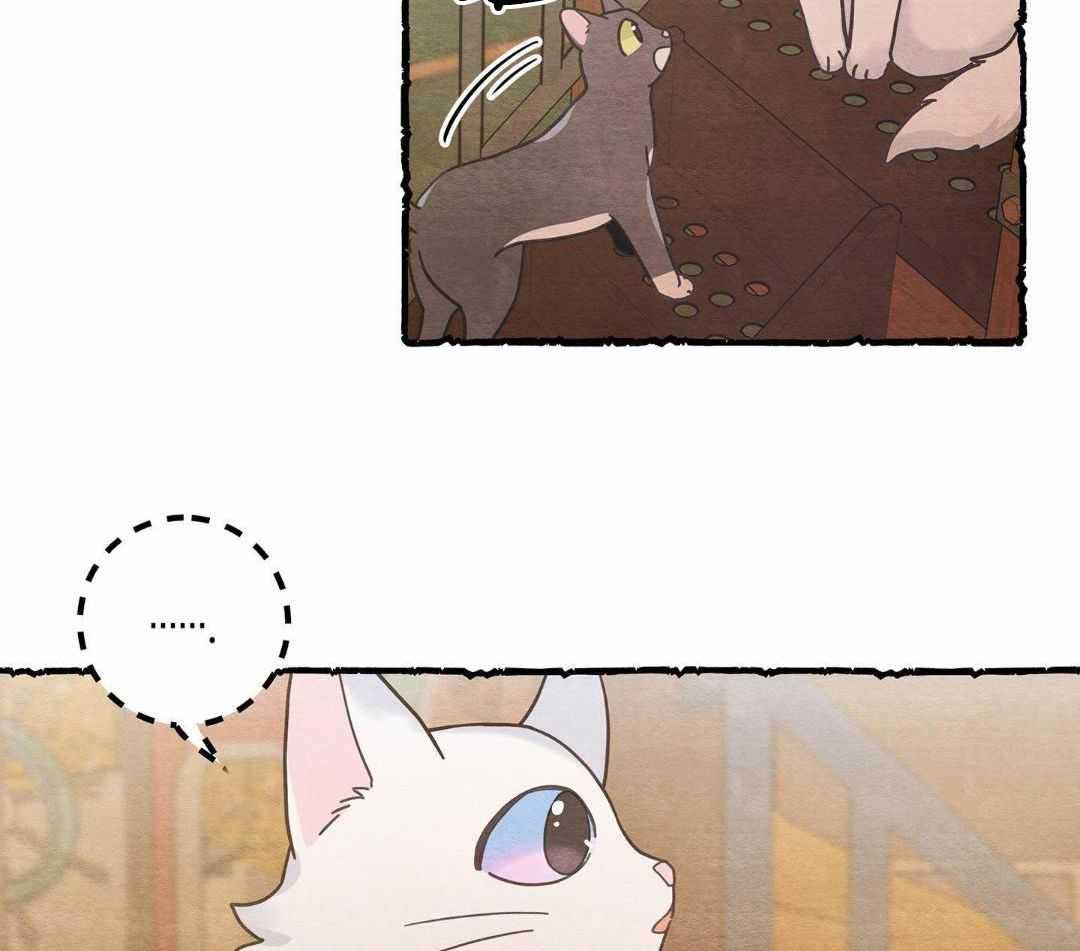 《我唯一的猫猫》漫画最新章节第41话免费下拉式在线观看章节第【15】张图片