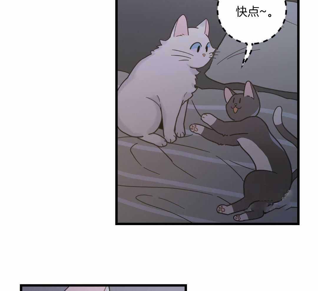 《我唯一的猫猫》漫画最新章节第42话免费下拉式在线观看章节第【7】张图片