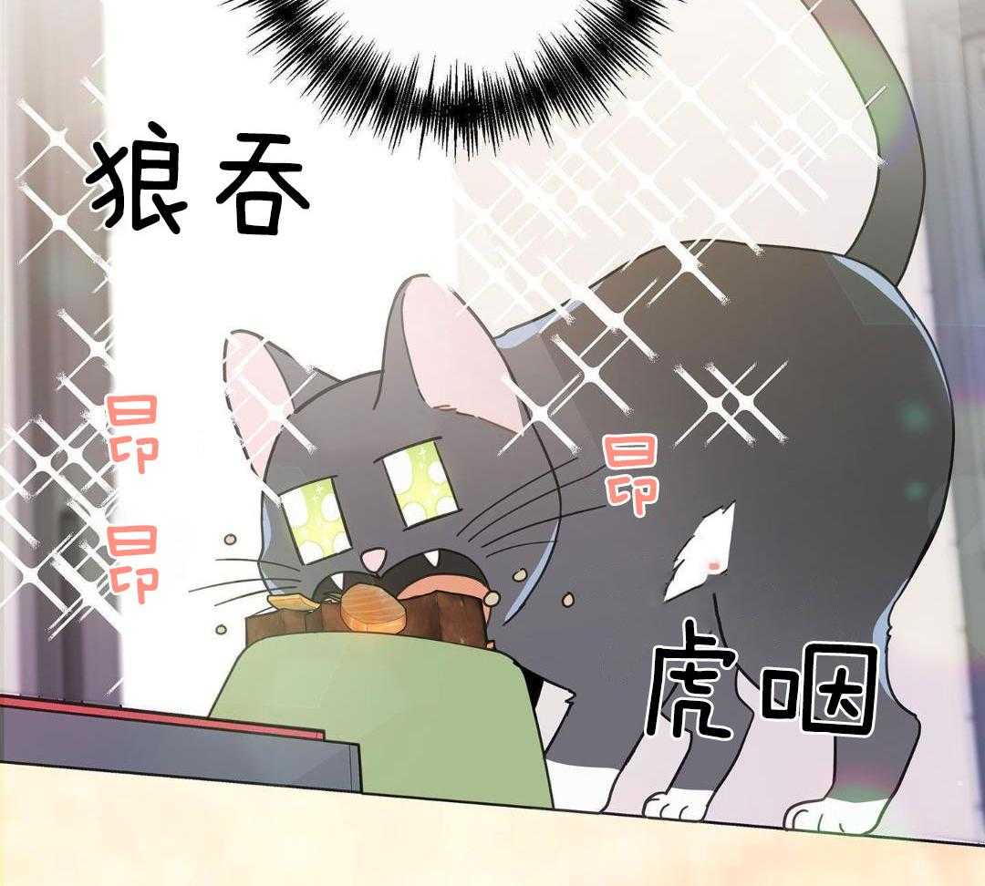 《我唯一的猫猫》漫画最新章节第35话免费下拉式在线观看章节第【20】张图片