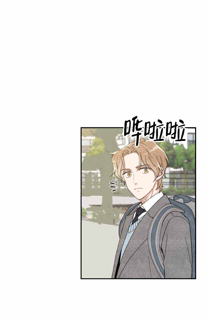 《我唯一的猫猫》漫画最新章节第19话免费下拉式在线观看章节第【5】张图片