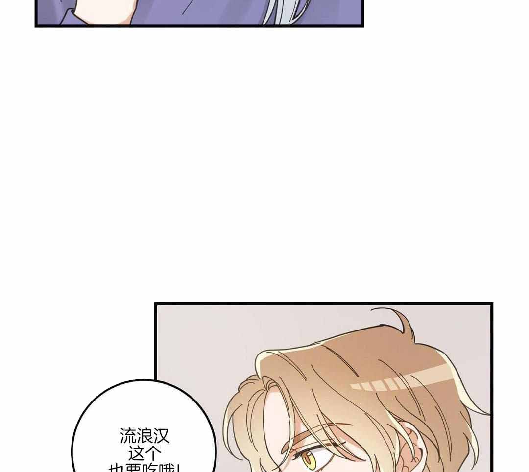 《我唯一的猫猫》漫画最新章节第56话免费下拉式在线观看章节第【25】张图片