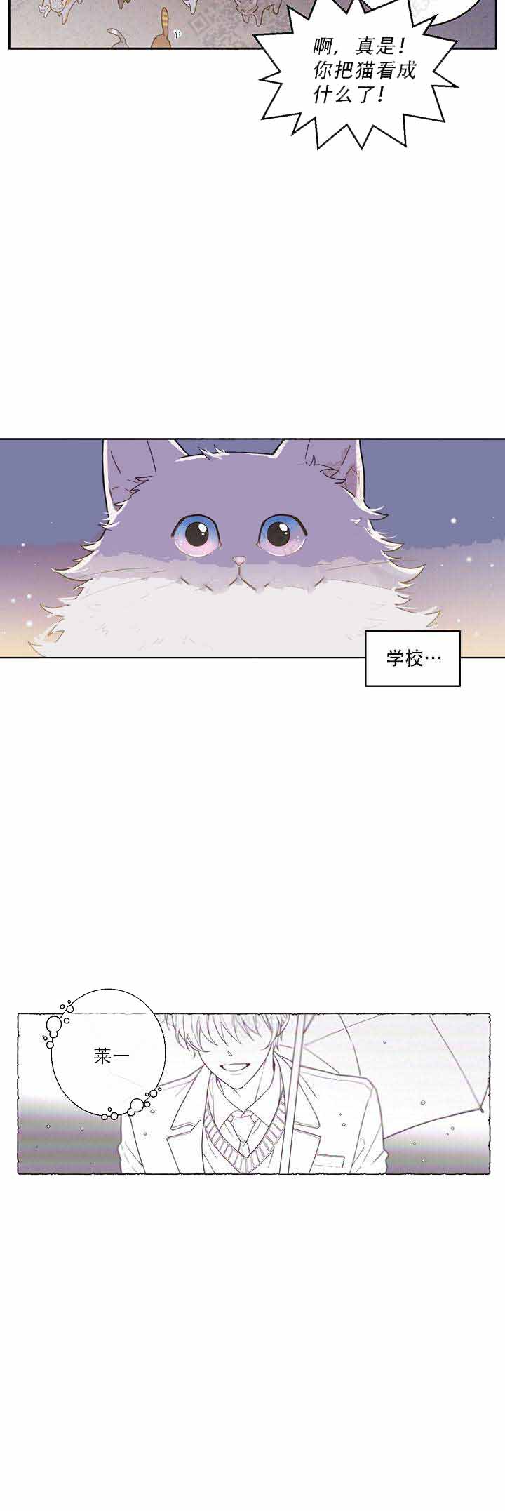 《我唯一的猫猫》漫画最新章节第1话免费下拉式在线观看章节第【5】张图片