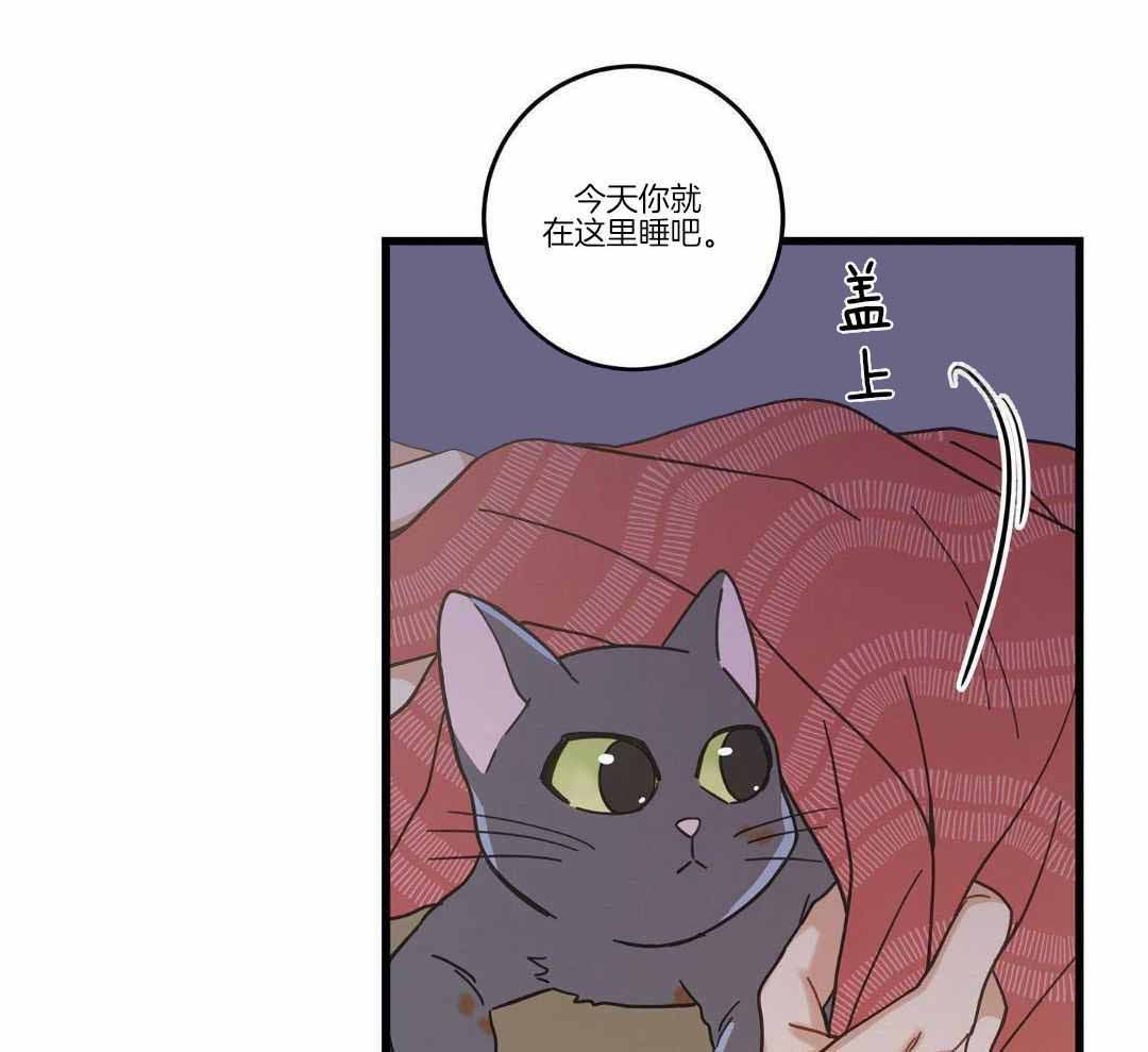 《我唯一的猫猫》漫画最新章节第37话免费下拉式在线观看章节第【13】张图片