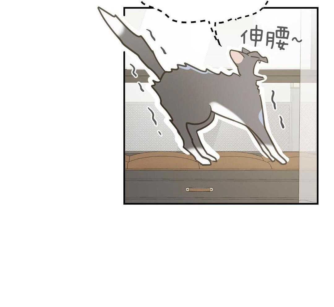 《我唯一的猫猫》漫画最新章节第47话免费下拉式在线观看章节第【49】张图片