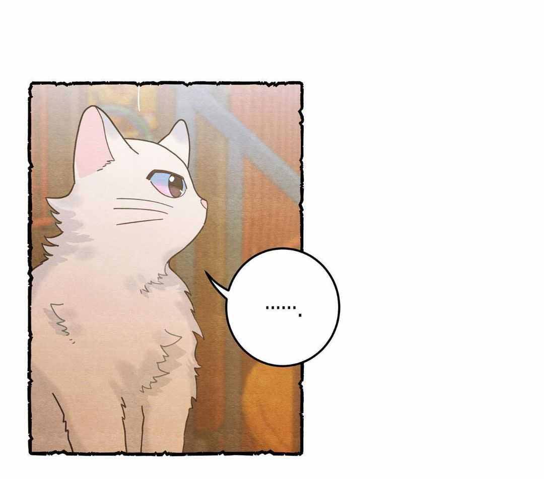 《我唯一的猫猫》漫画最新章节第41话免费下拉式在线观看章节第【11】张图片