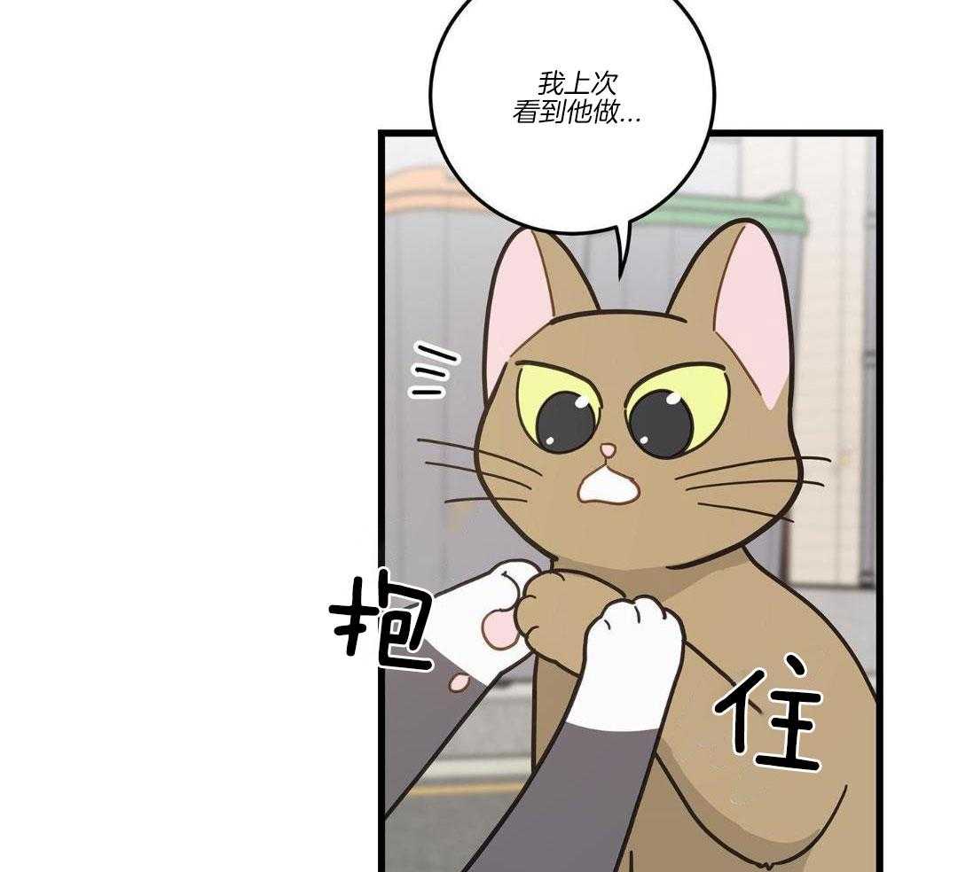 《我唯一的猫猫》漫画最新章节第33话免费下拉式在线观看章节第【40】张图片