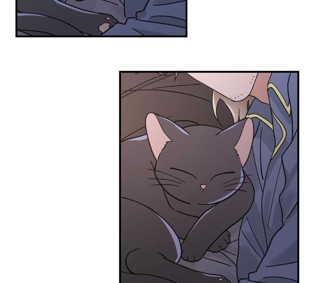 《我唯一的猫猫》漫画最新章节第53话免费下拉式在线观看章节第【11】张图片