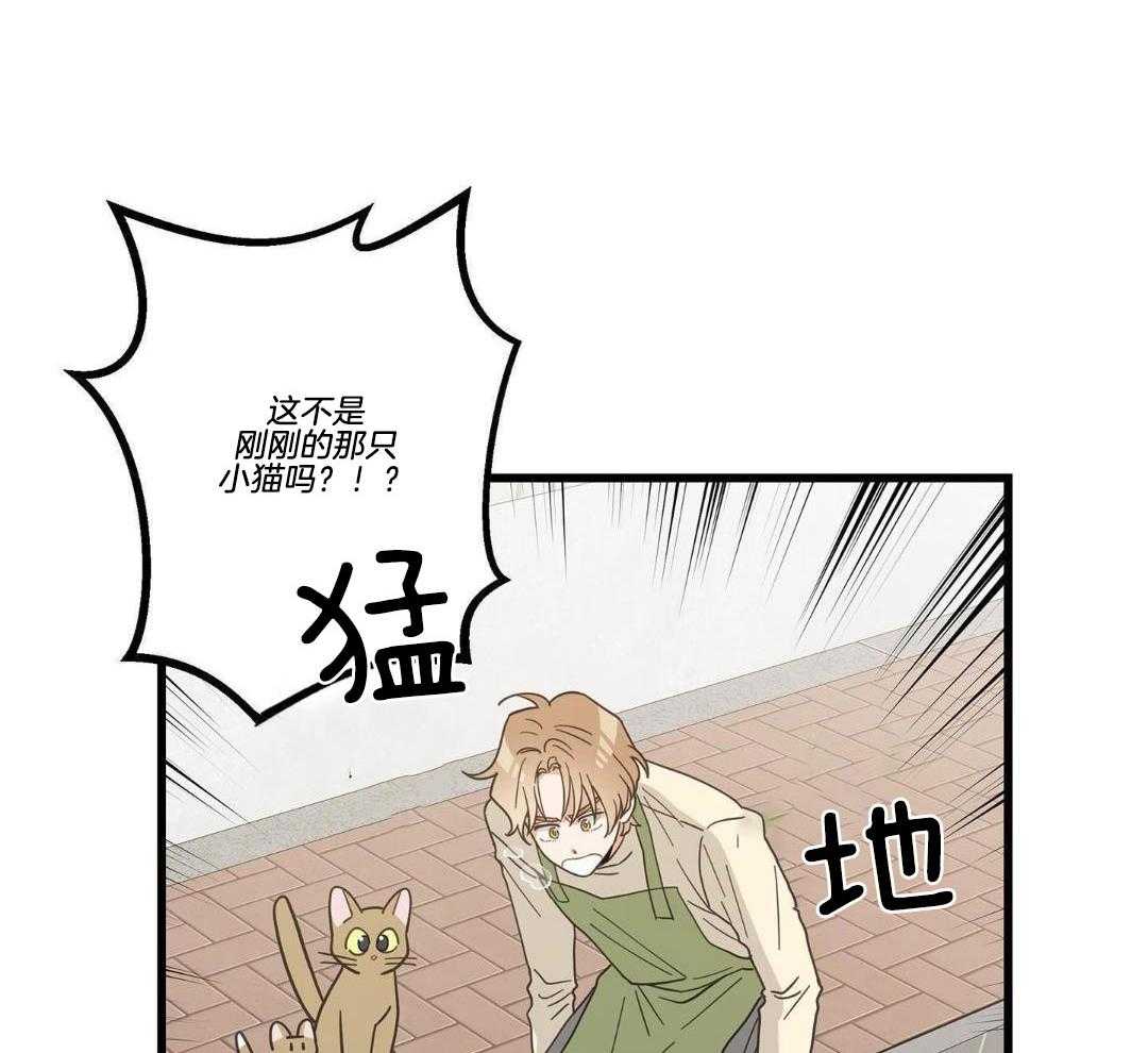 《我唯一的猫猫》漫画最新章节第34话免费下拉式在线观看章节第【24】张图片