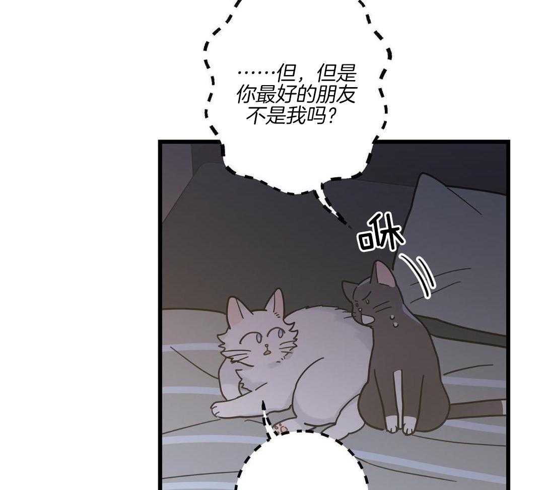 《我唯一的猫猫》漫画最新章节第42话免费下拉式在线观看章节第【24】张图片