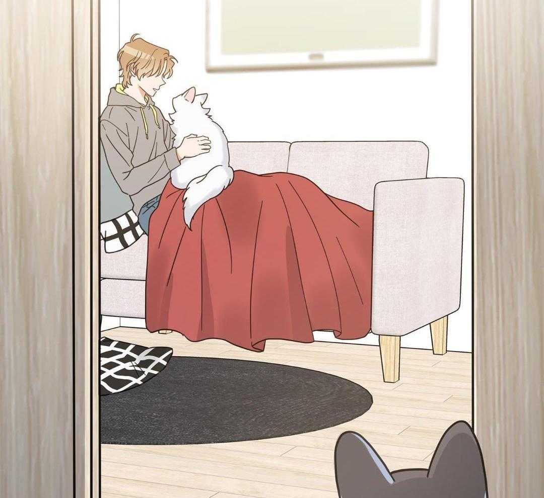 《我唯一的猫猫》漫画最新章节第43话免费下拉式在线观看章节第【6】张图片