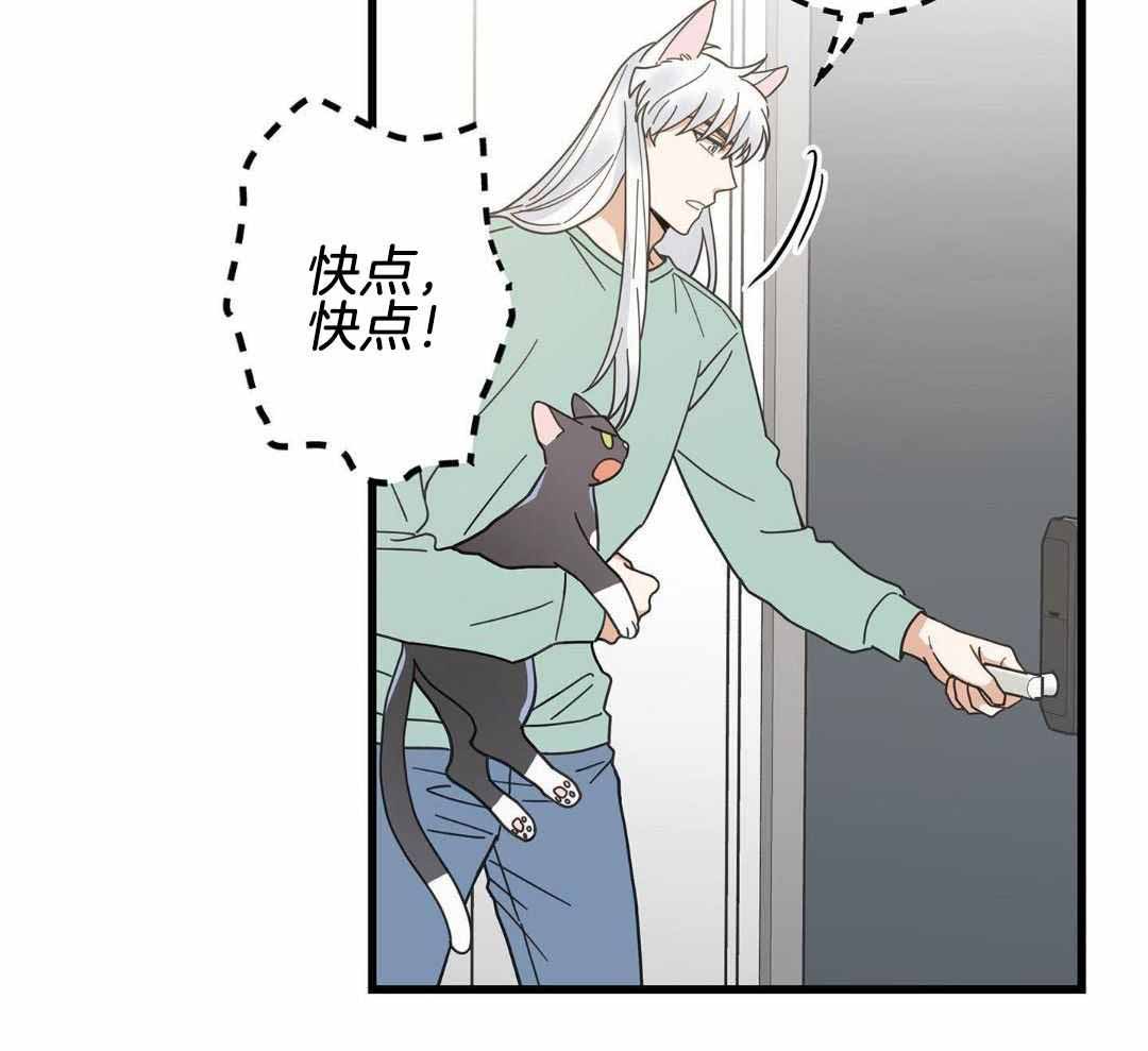 《我唯一的猫猫》漫画最新章节第46话免费下拉式在线观看章节第【15】张图片