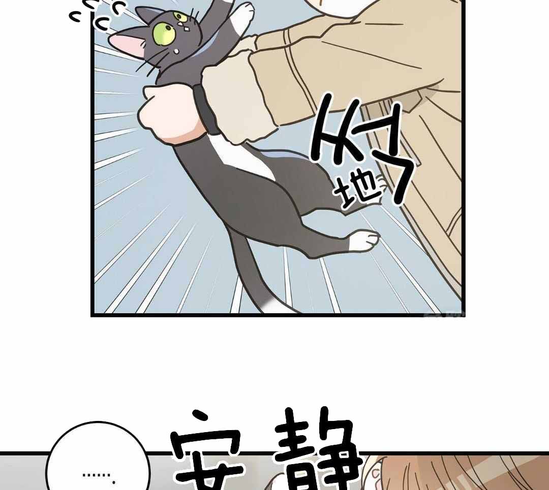 《我唯一的猫猫》漫画最新章节第45话免费下拉式在线观看章节第【14】张图片