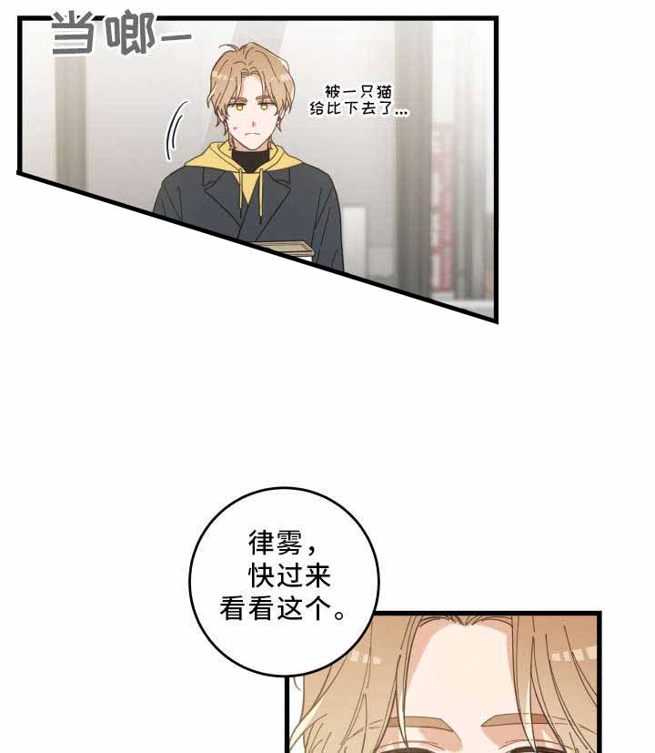 《我唯一的猫猫》漫画最新章节第24话免费下拉式在线观看章节第【13】张图片