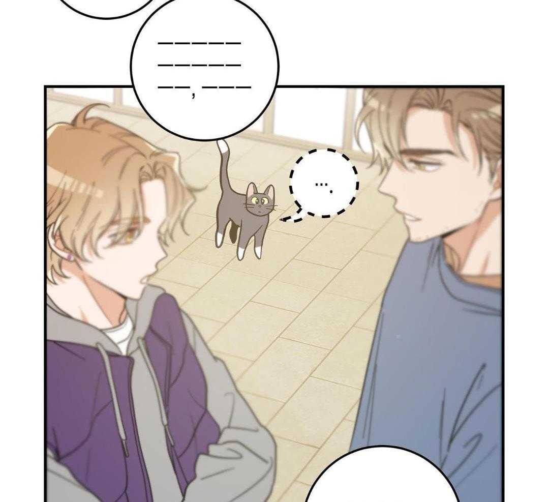 《我唯一的猫猫》漫画最新章节第47话免费下拉式在线观看章节第【36】张图片