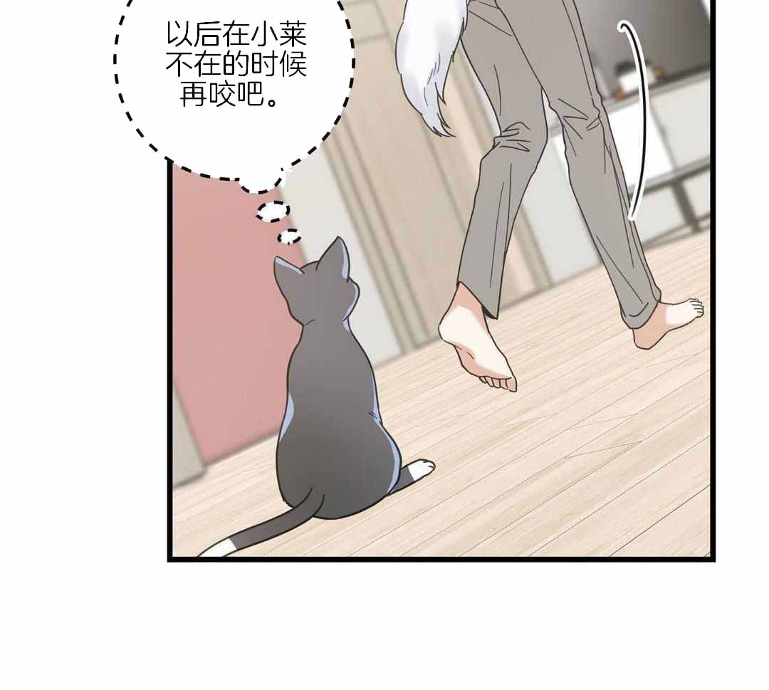 《我唯一的猫猫》漫画最新章节第44话免费下拉式在线观看章节第【7】张图片