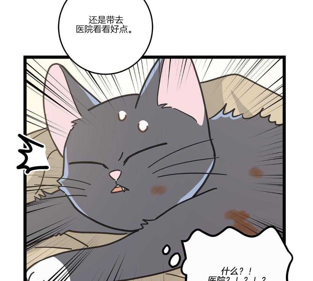 《我唯一的猫猫》漫画最新章节第35话免费下拉式在线观看章节第【3】张图片