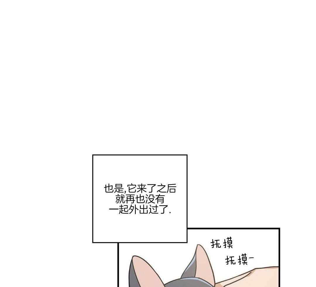 《我唯一的猫猫》漫画最新章节第50话免费下拉式在线观看章节第【2】张图片