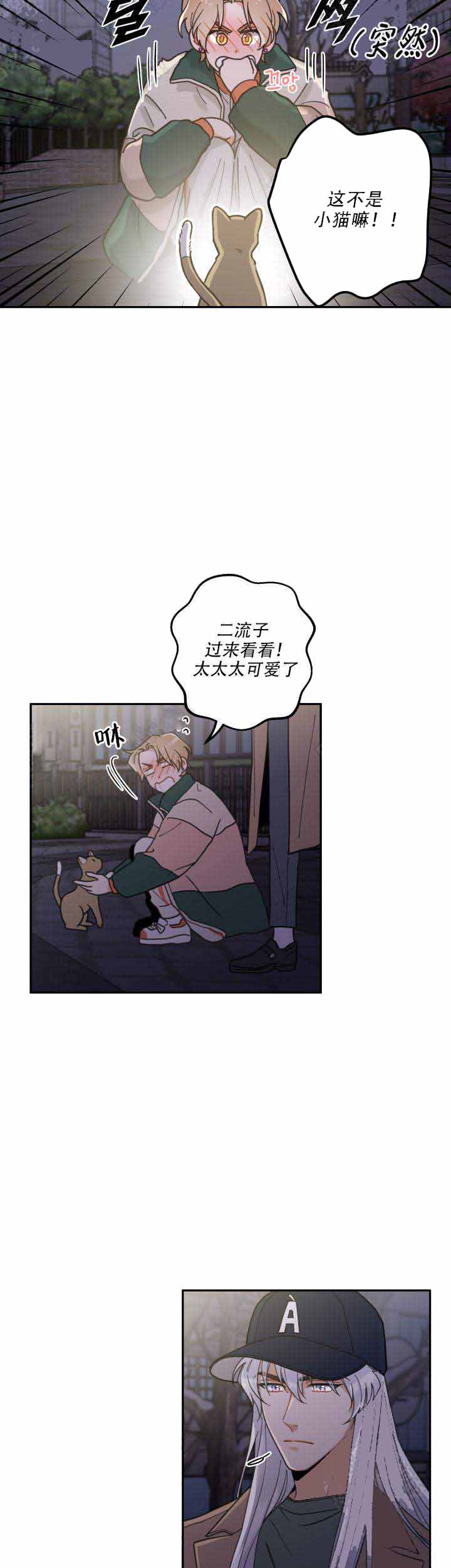 《我唯一的猫猫》漫画最新章节第17话免费下拉式在线观看章节第【10】张图片