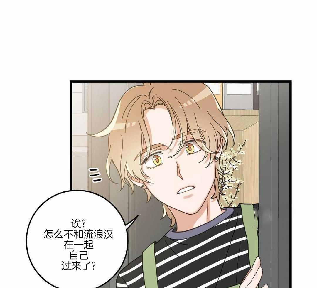 《我唯一的猫猫》漫画最新章节第58话免费下拉式在线观看章节第【4】张图片