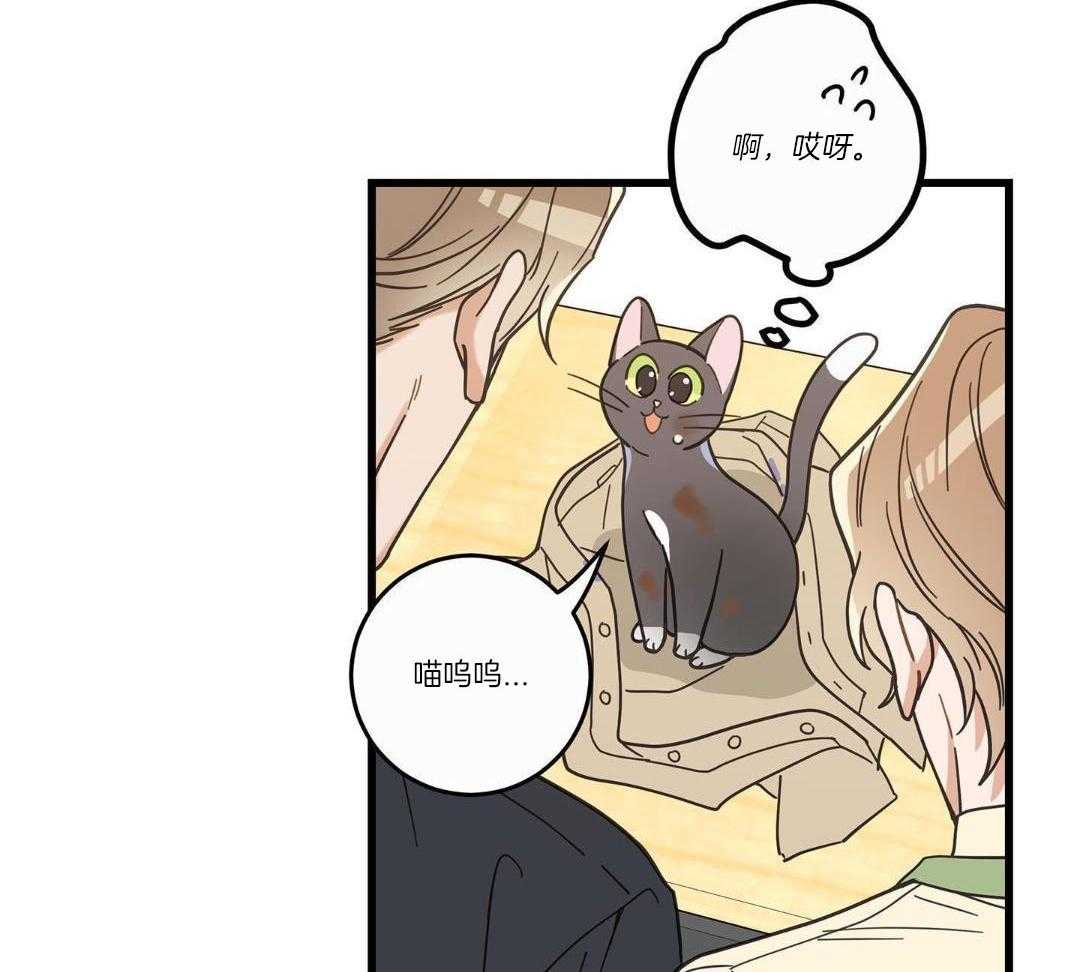 《我唯一的猫猫》漫画最新章节第35话免费下拉式在线观看章节第【6】张图片