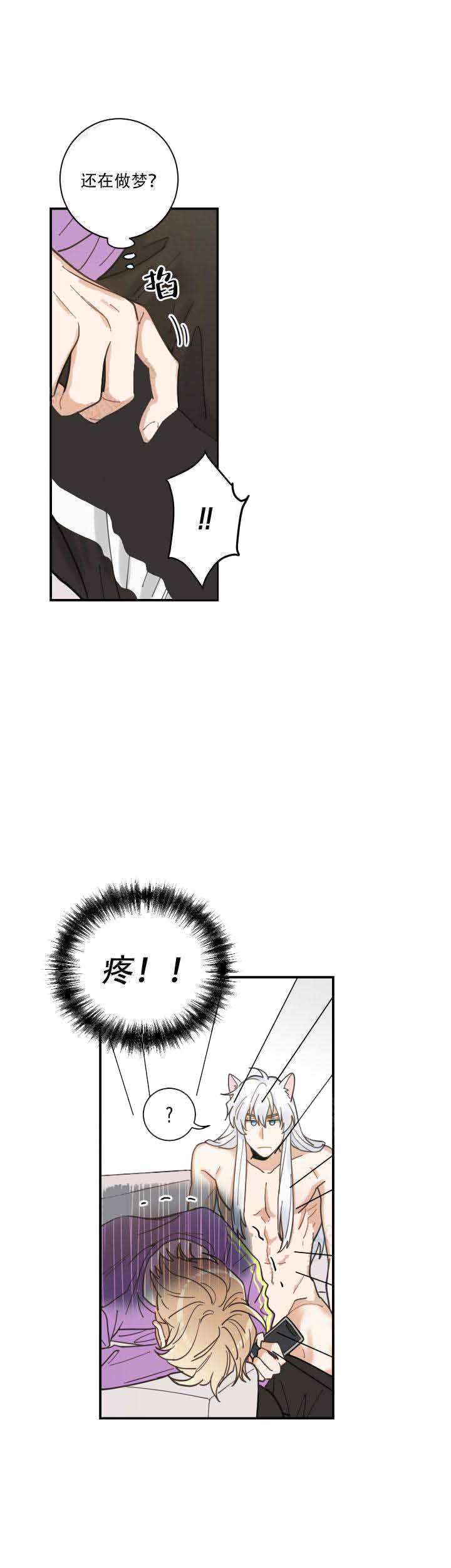 《我唯一的猫猫》漫画最新章节第7话免费下拉式在线观看章节第【3】张图片