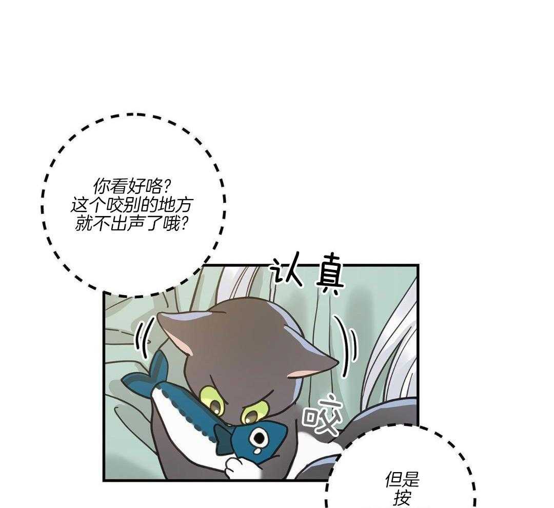 《我唯一的猫猫》漫画最新章节第48话免费下拉式在线观看章节第【35】张图片