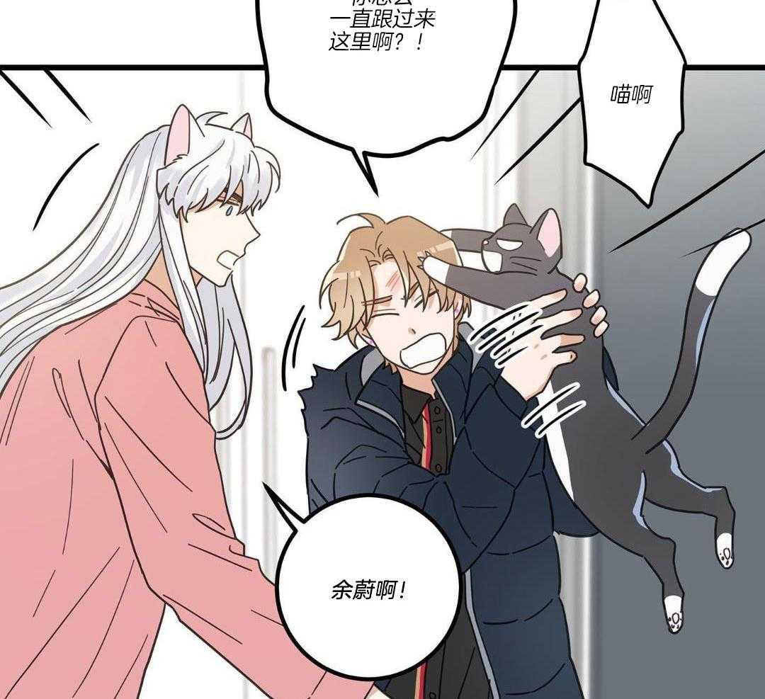 《我唯一的猫猫》漫画最新章节第39话免费下拉式在线观看章节第【14】张图片