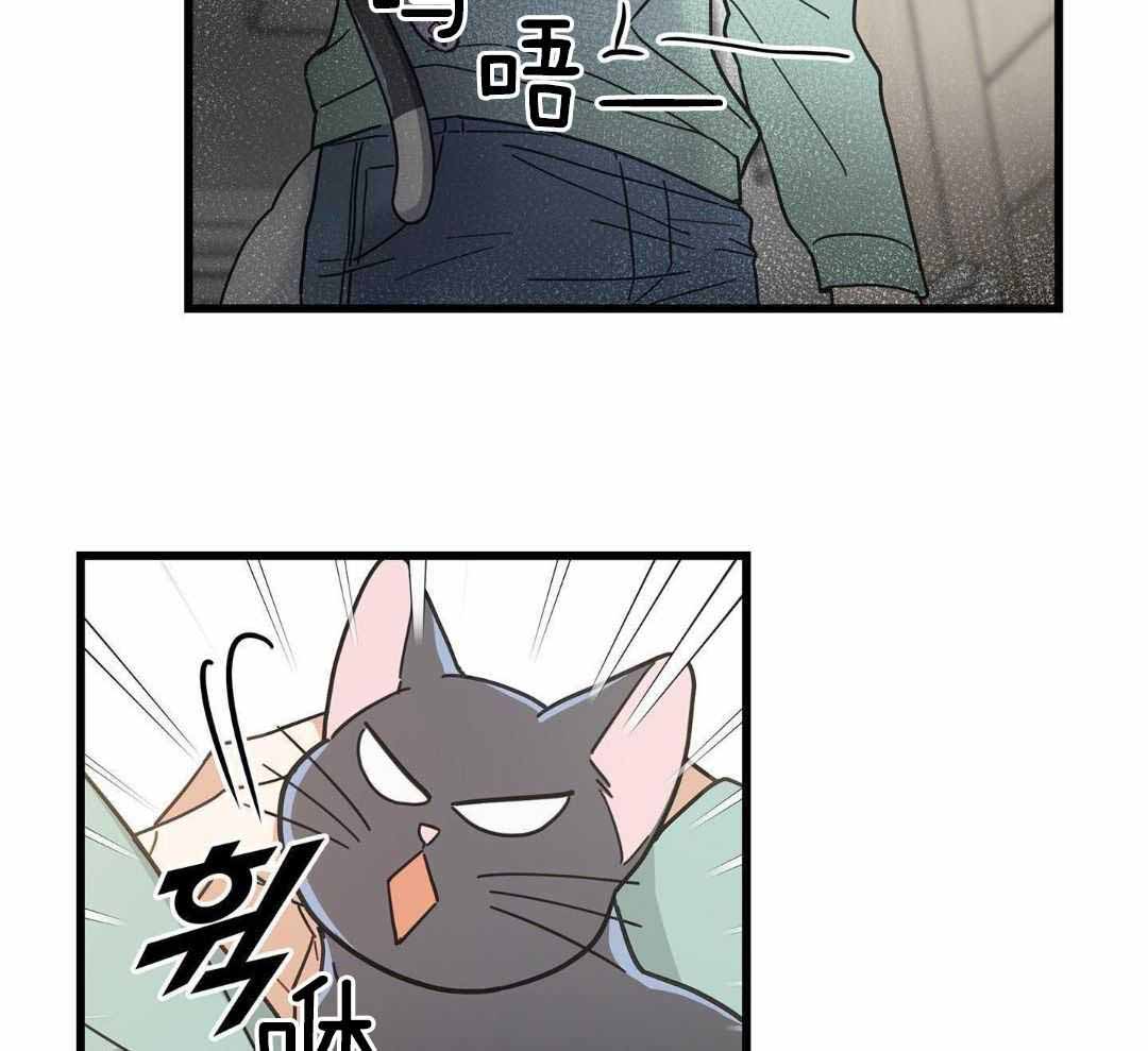 《我唯一的猫猫》漫画最新章节第46话免费下拉式在线观看章节第【13】张图片