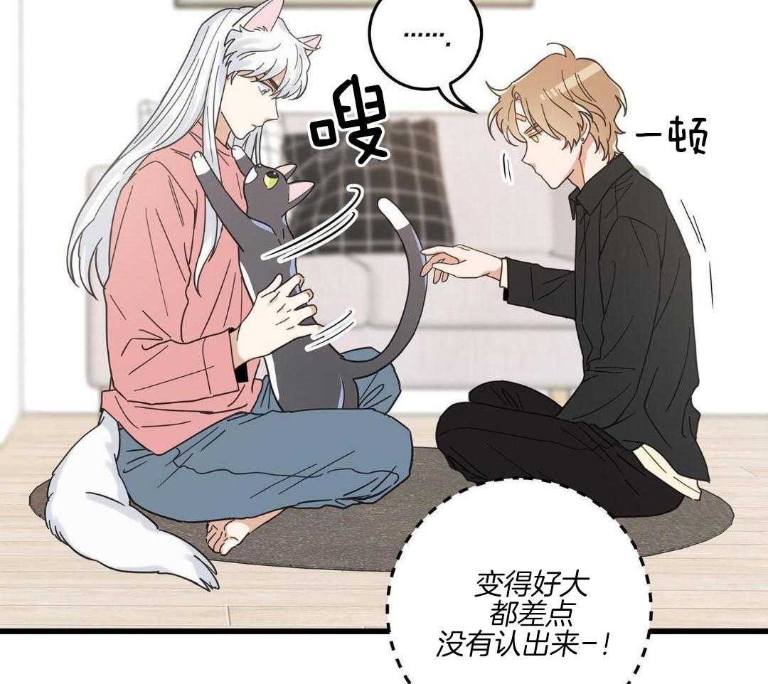 《我唯一的猫猫》漫画最新章节第40话免费下拉式在线观看章节第【12】张图片