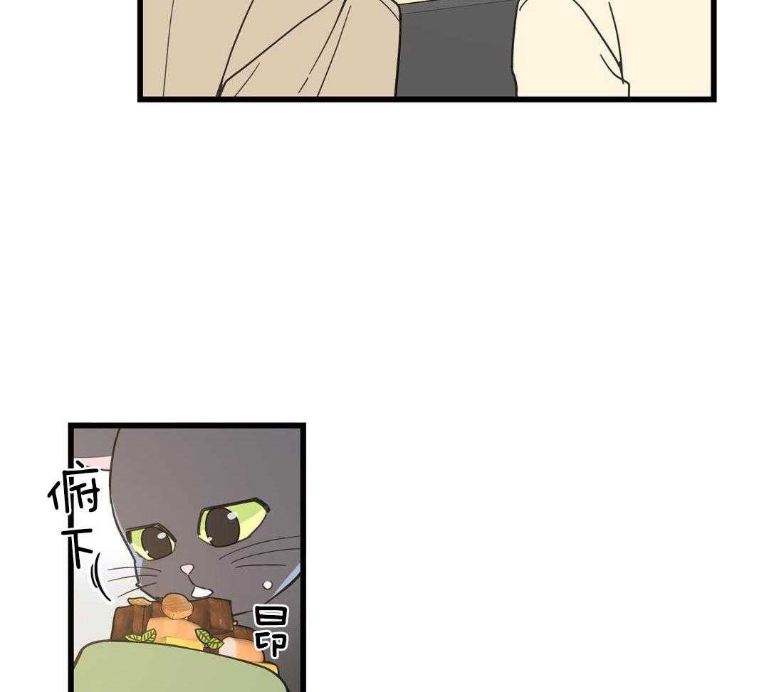 《我唯一的猫猫》漫画最新章节第35话免费下拉式在线观看章节第【18】张图片