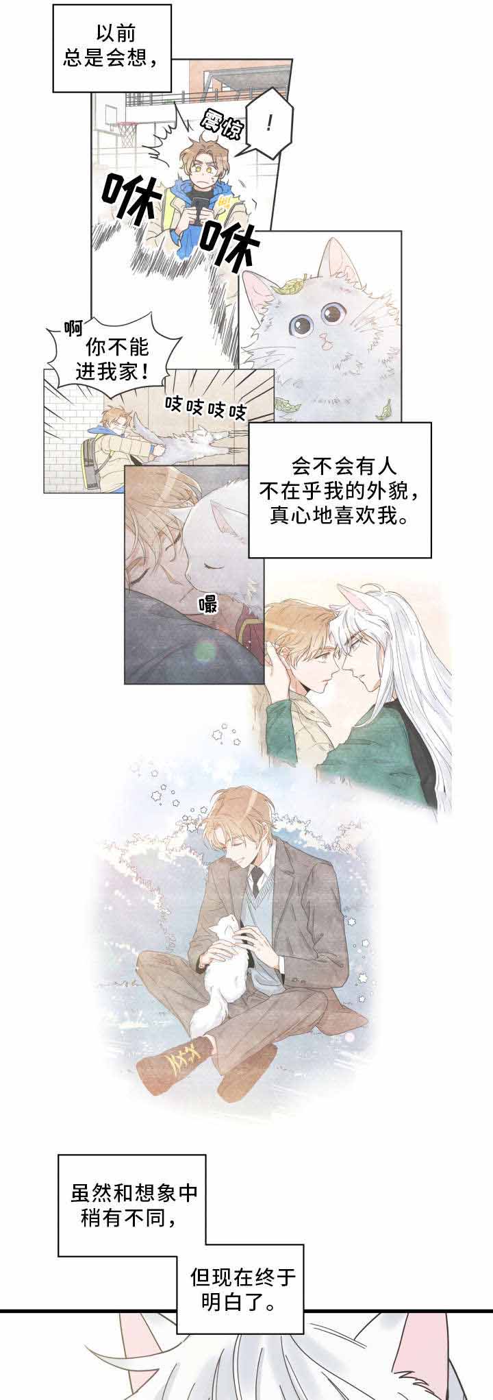 《我唯一的猫猫》漫画最新章节第31话免费下拉式在线观看章节第【9】张图片