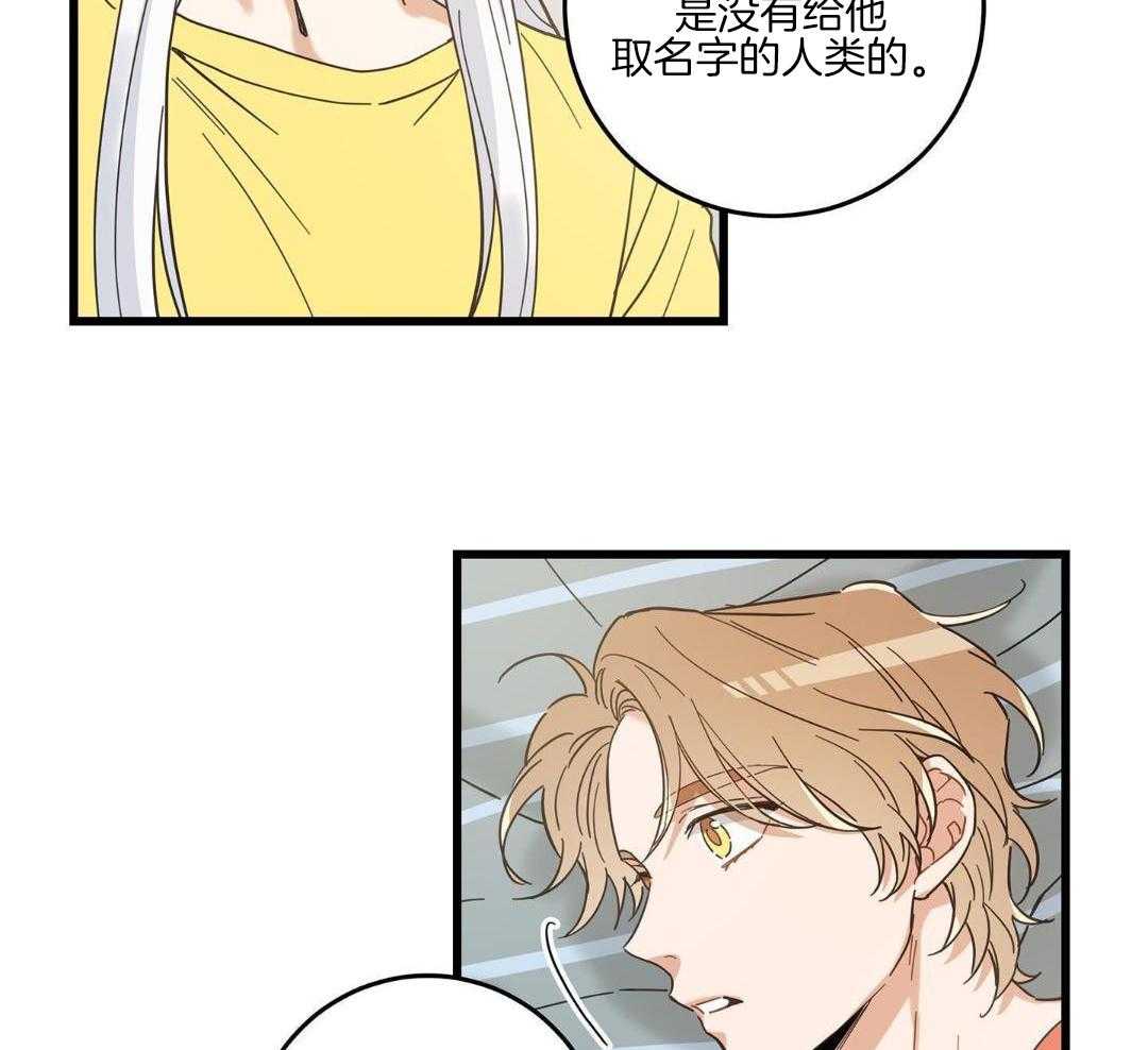 《我唯一的猫猫》漫画最新章节第45话免费下拉式在线观看章节第【22】张图片