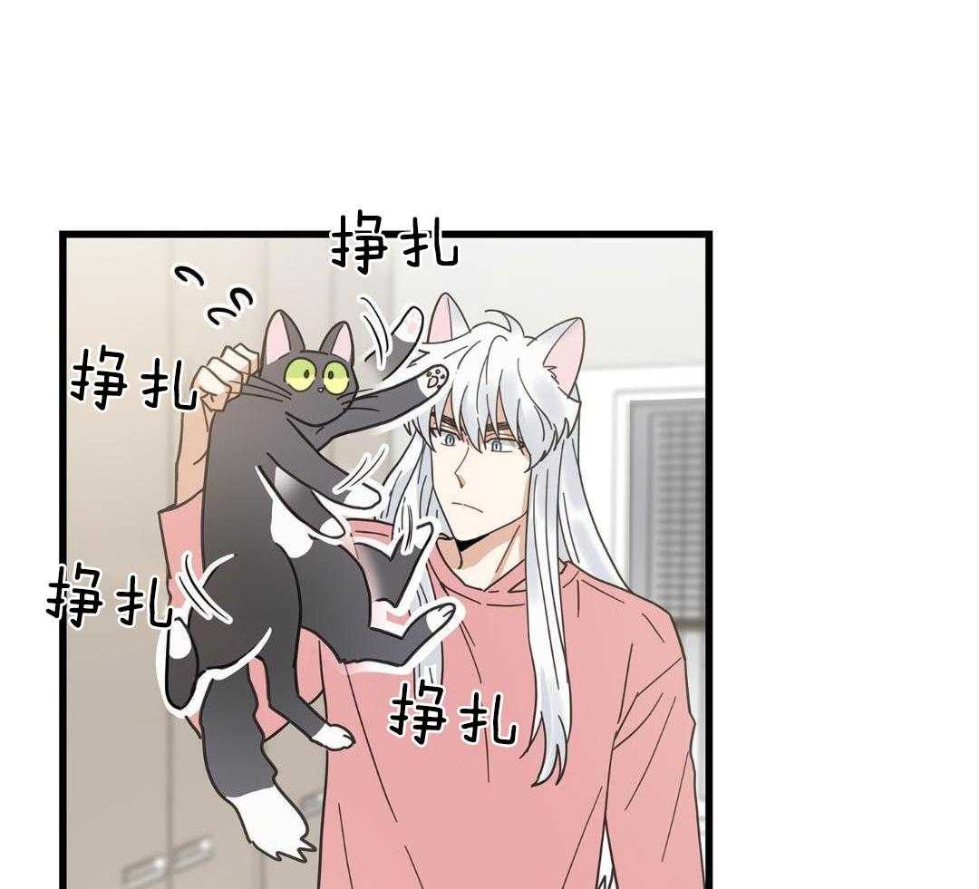 《我唯一的猫猫》漫画最新章节第39话免费下拉式在线观看章节第【28】张图片