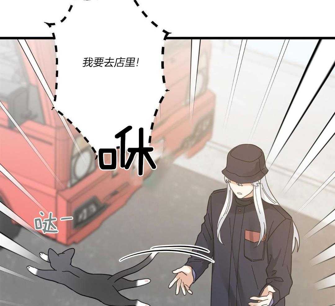 《我唯一的猫猫》漫画最新章节第57话免费下拉式在线观看章节第【39】张图片