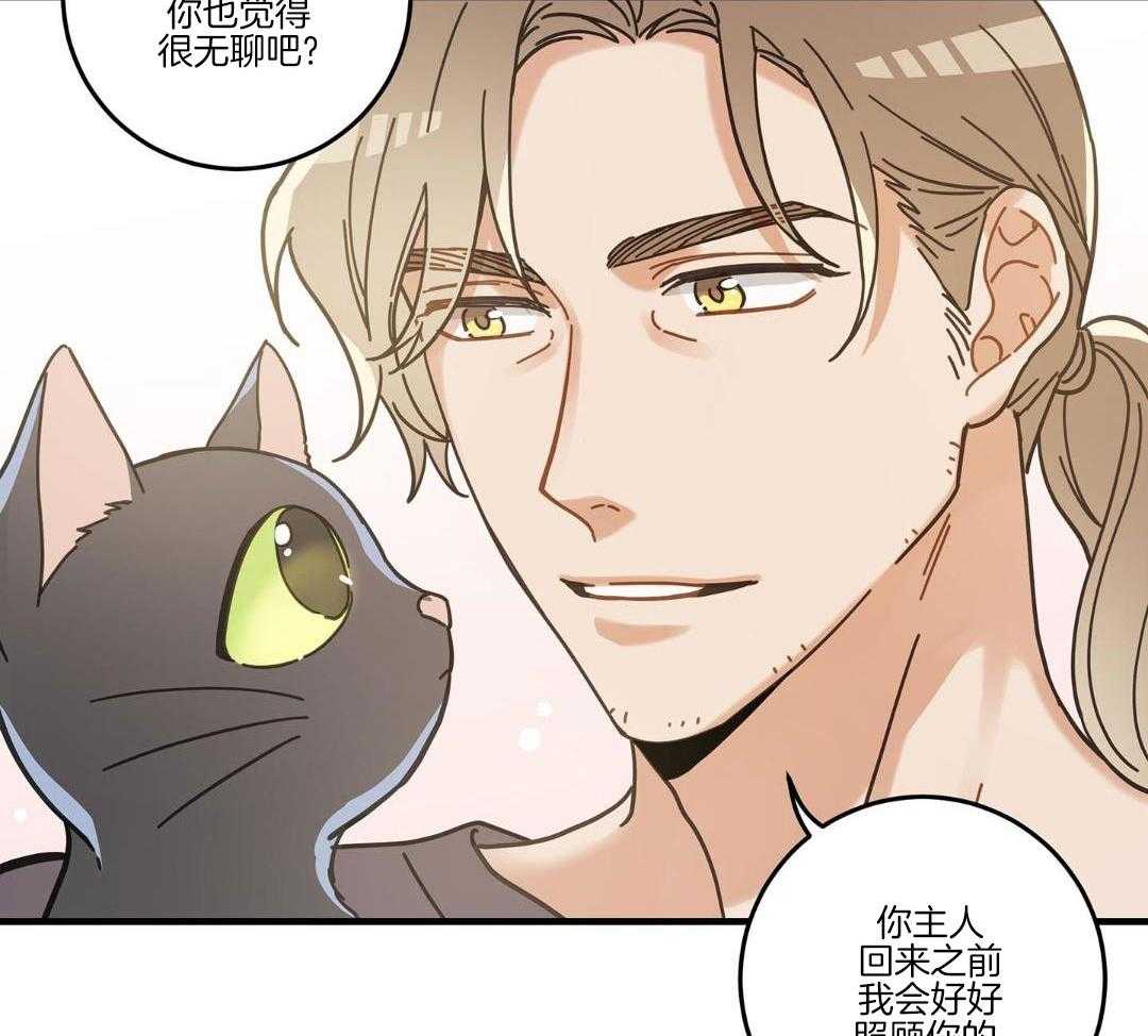 《我唯一的猫猫》漫画最新章节第53话免费下拉式在线观看章节第【49】张图片