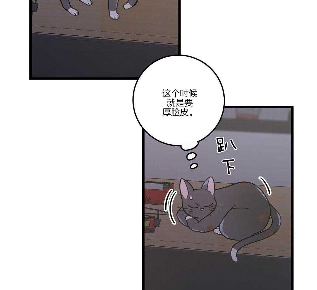 《我唯一的猫猫》漫画最新章节第37话免费下拉式在线观看章节第【5】张图片